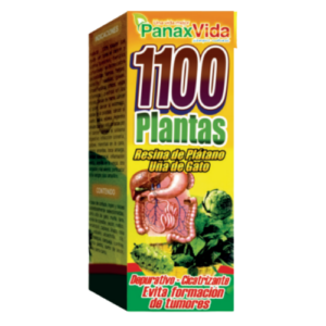 1100 Plantas Panax Vida