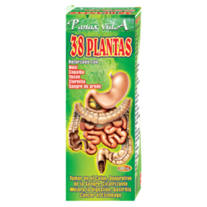 38 Plantas Panax Vida