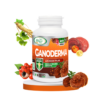 Ganoderma Sabia Naturaleza