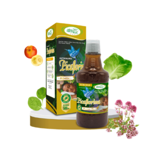 Picaflorina 500ml Extracto Sabia Naturaleza
