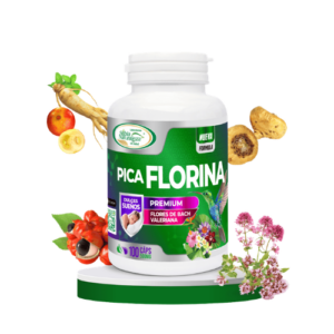 Picaflorina Sabia Naturaleza